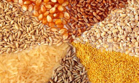 تأمین نهاده مورد نیاز واحدهای تولیدی تا آبان‌ماه