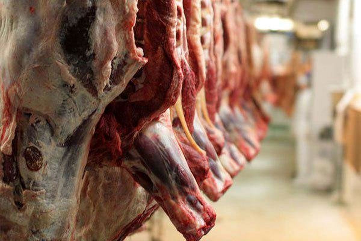 ادامه اقدامات پیشگیرانه برای جلوگیری از بیماری تب کریمه کنگو