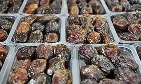 ایجاد شهرک تخصصی خرما نیاز دشتستان