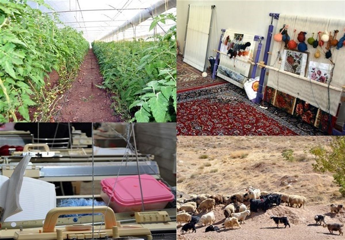 برنامه توسعه اشتغالزایی ۱۳۵۰ روستای استان گیلان تهیه می‌شود