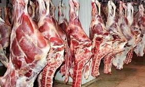رونق بازار گوشت قرمز در هفته اول هر ماه/ دام زنده کیلویی 50 هزار تومان