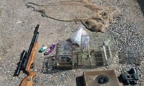 دستگیری ۷ شکارچی غیرمجاز در آمل و لاریجان
