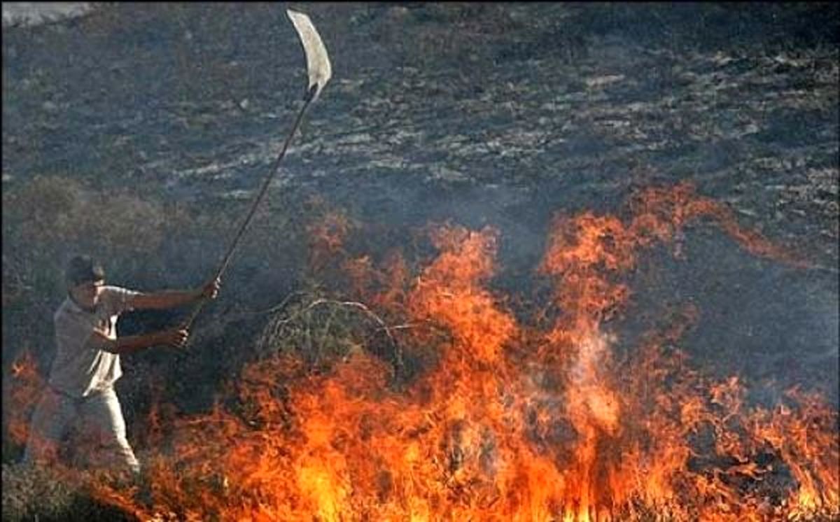 سخنگوی کمیسیون کشاورزی در گفتگو با خبرفوری: سازمان محیط‌زیست وجنگلها ضعیف عمل می‌کنند؛اطفای حریق جنگل با بیل و شاخ و برگ/ لایحه حمایت از محیط‌بانان هنوز به کمیسیون ارجاع نشده