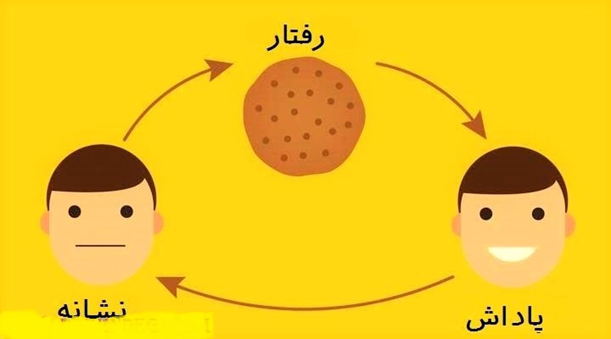 چگونه بر عادت‌های بد خود غلبه کنیم؟