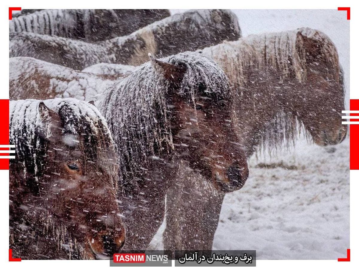 دیدنی‌ترین عکس‌های جهان در ۲۴ ساعت گذشته
