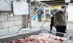 چرا مرغ گران شد؟