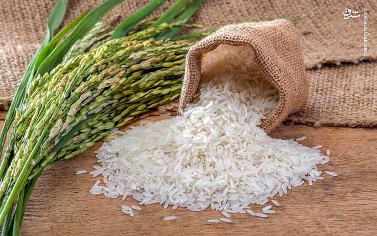 عامل گرانی برنج خارجی در کشور چیست؟ / از آذر ماه تا به حال هیچ برنجی وارد نشده است