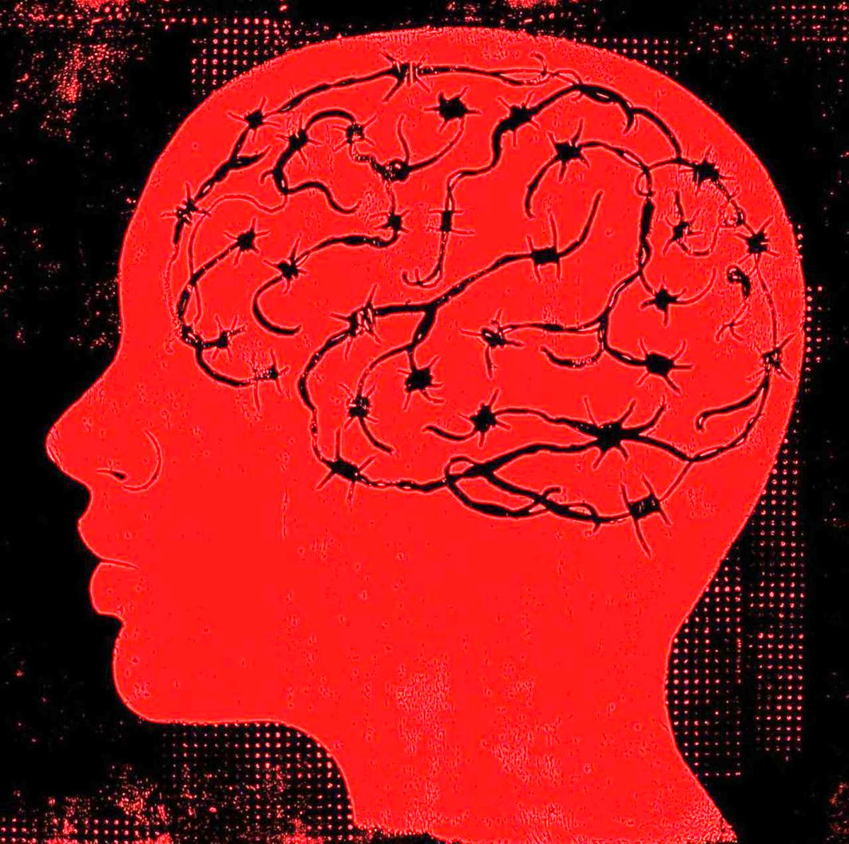 مفهوم روشن‌فکری چیست؟ / تفاوت‌های شارلاتانیزم و انتقادگری در سیاست