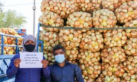 اینجا پیاز کیلویی ۶۰۰ تومان است/ تصاویر‌