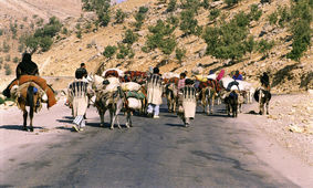 زمان کوچ عشایر جنوب کشور به اصفهان به تاخیر افتاد