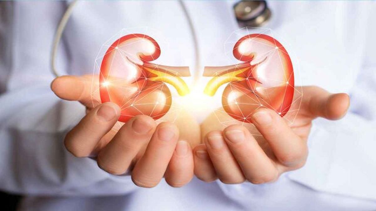 تغییرات پروتئینی، عامل مهم پیر شدن کلیه‌ها هستند