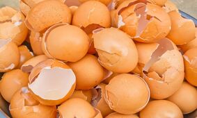 با خواص پوست تخم مرغ به داد مو و دندانهایتان برسید