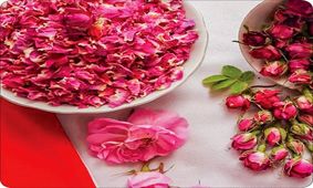 نکاتی درباره گل محمدی، خواص و روش‌های استفاده از آن