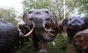 تصاویری از یک گله «فیل» مقابل کاخ ملکه بریتانیا!