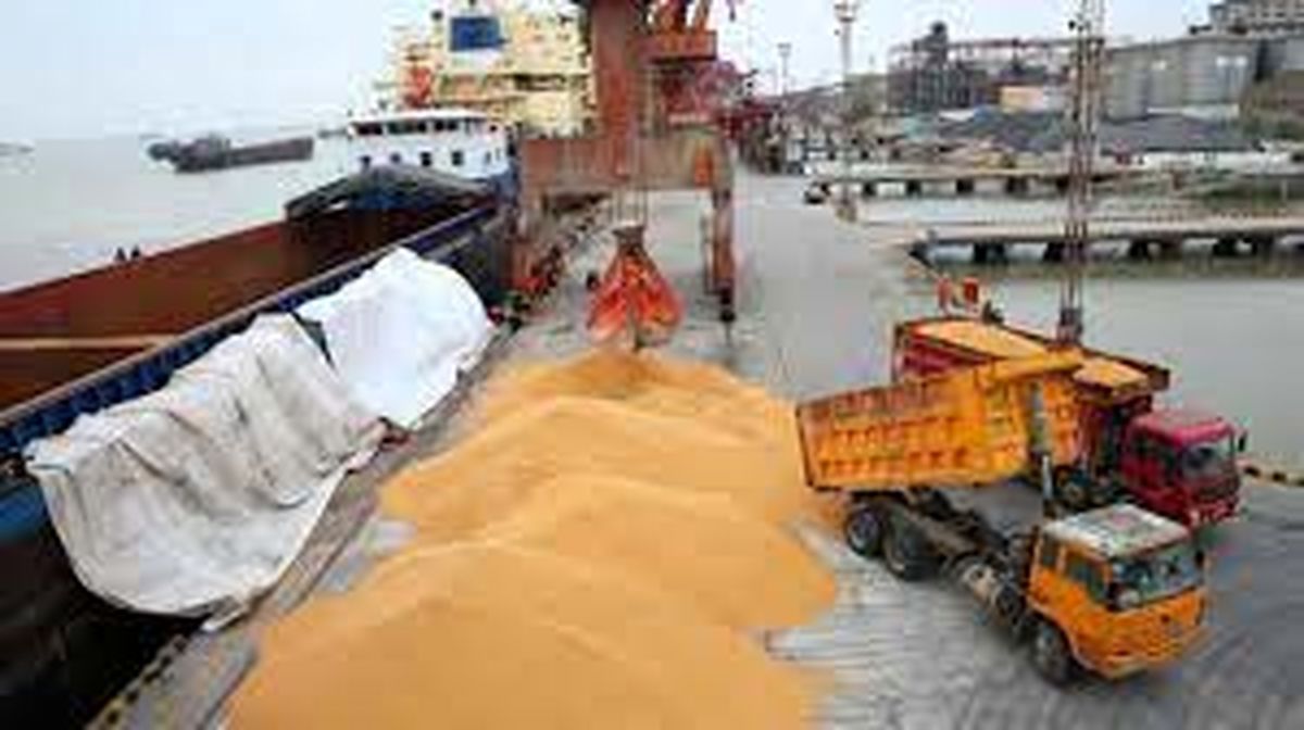 خوراک دام و طیور وارد شده با ارز دولتی سر از بازار سیاه درآورده است