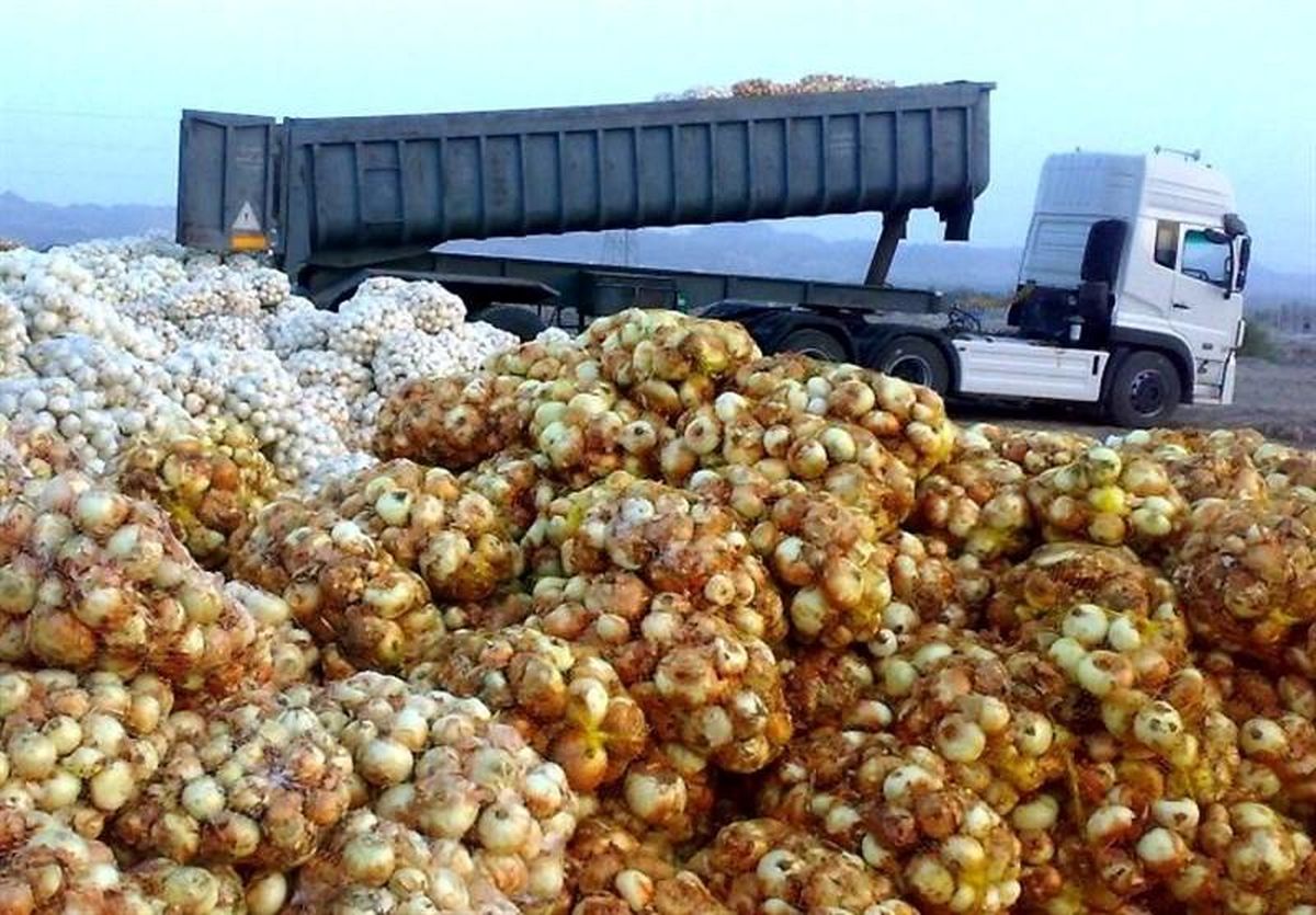 دومینوی ورشکستگی دامان کشاورزان را گرفت/ هزاران تن پیاز در انبارها فاسد شد