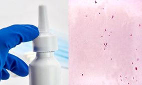 پیشگیری از مننژیت با کمک قطره بینی