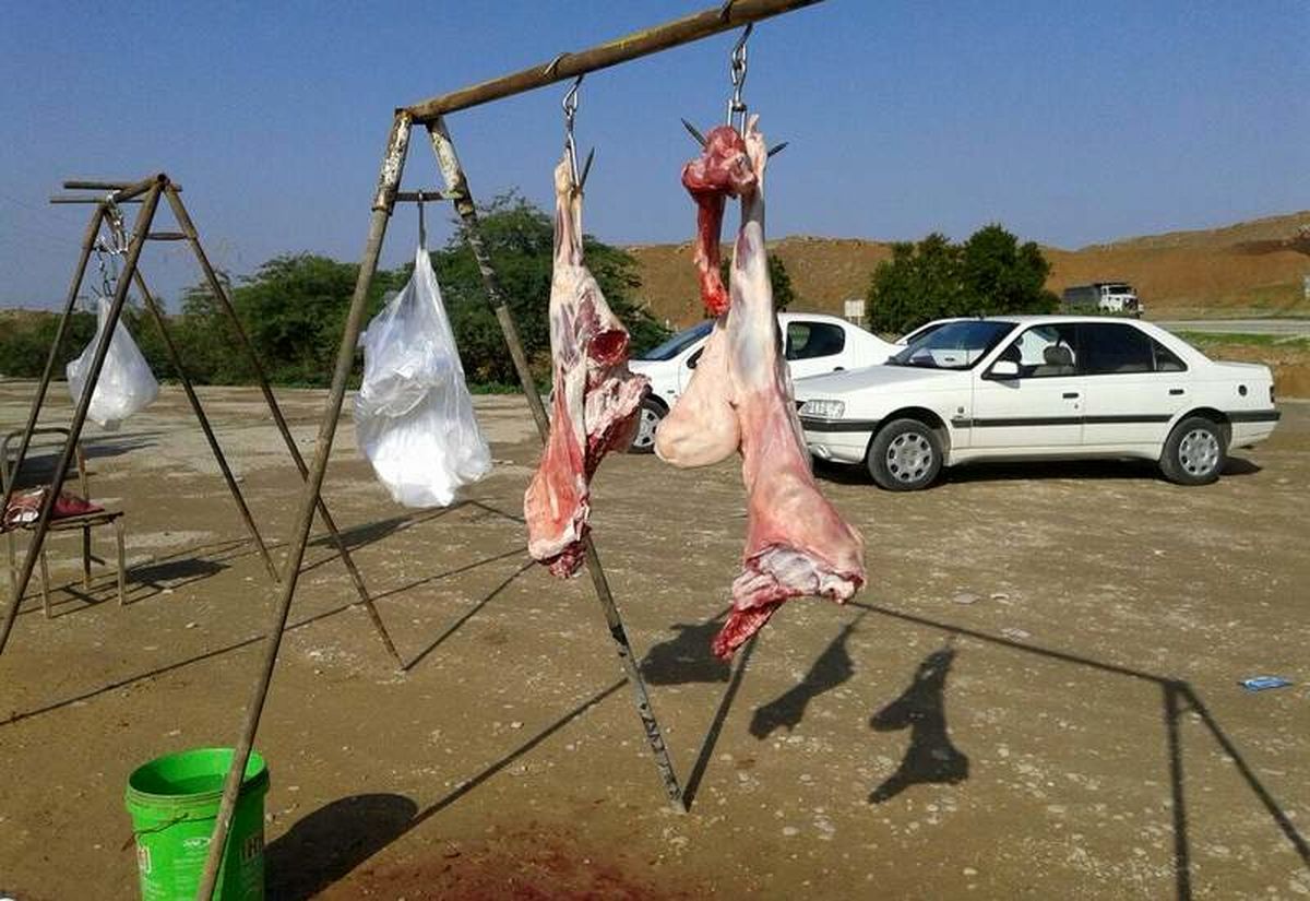 کشتار غیرمجاز دام در کهگیلویه و بویراحمد همچنان وجود دارد