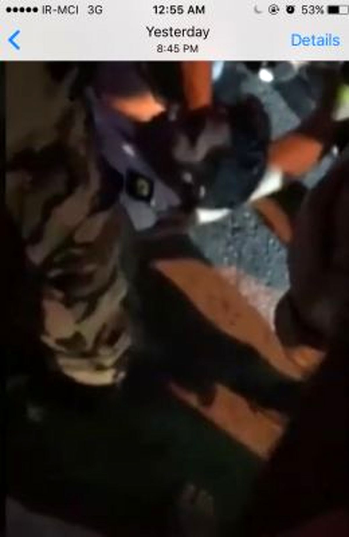 راننده متخلف مامور پليس را زير گرفت و تسليم شد