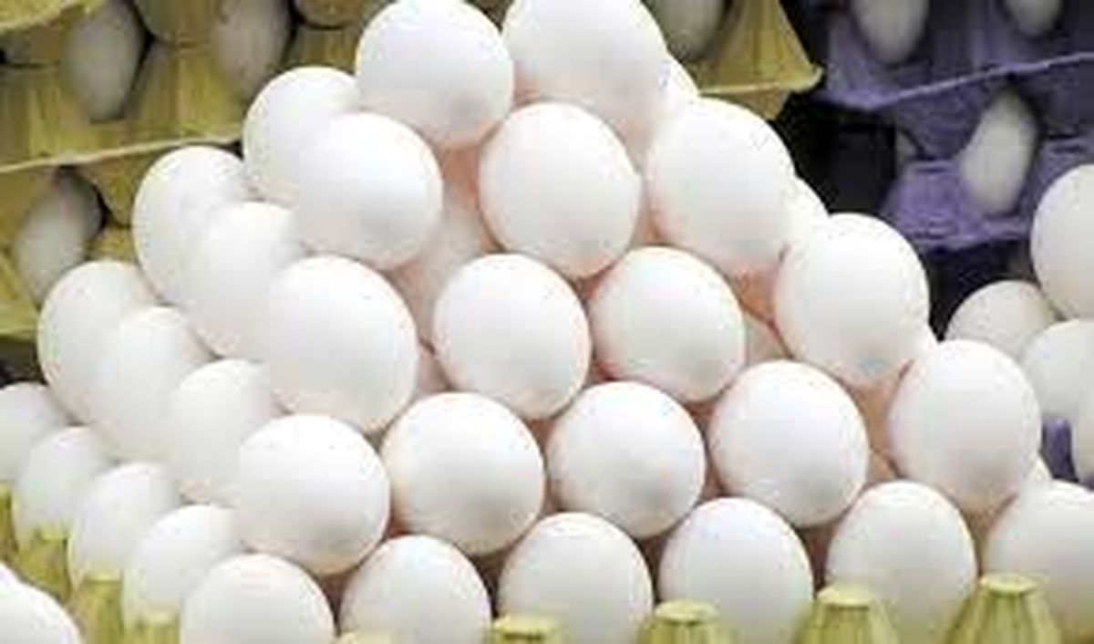 امحاء محموله تخم مرغ فاسد با ورود دادستانی