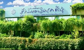جشنواره‌ای برای «یکصدسالگی ادبیات معاصر فارسی»
