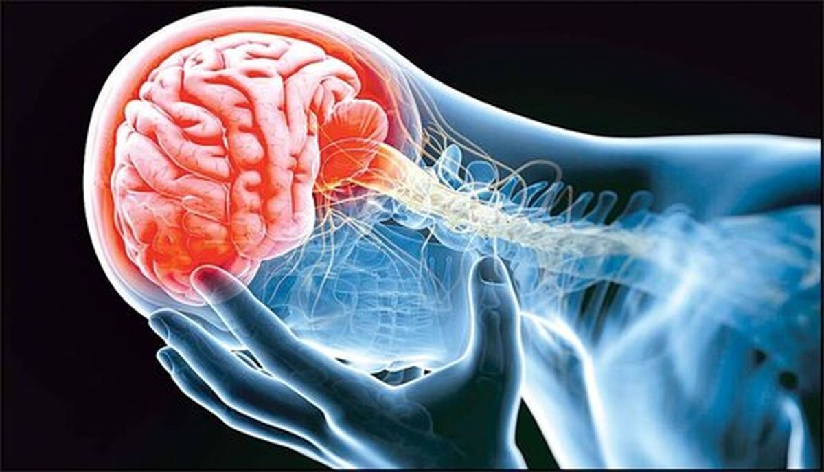 پشت میزنشینی خطر سکته مغزی را ۷ برابر بیشتر می‌ کند