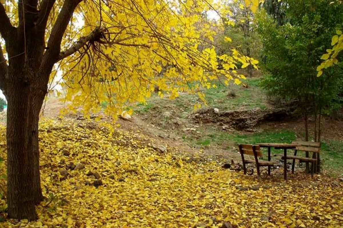 عاشقانه ترین جای دنیا