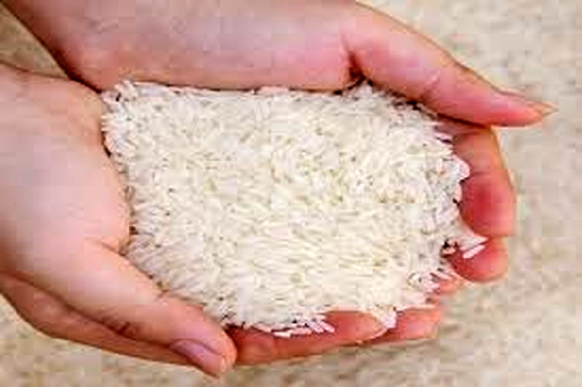 افزایش قیمت برنج ایرانی تا ۴۶ هزار و ۵۰۰ تومان