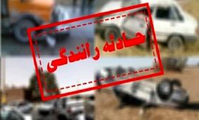 اقدام وحشتناک یک راننده زن و مرگ یک عابر پیاده/ ویدئو