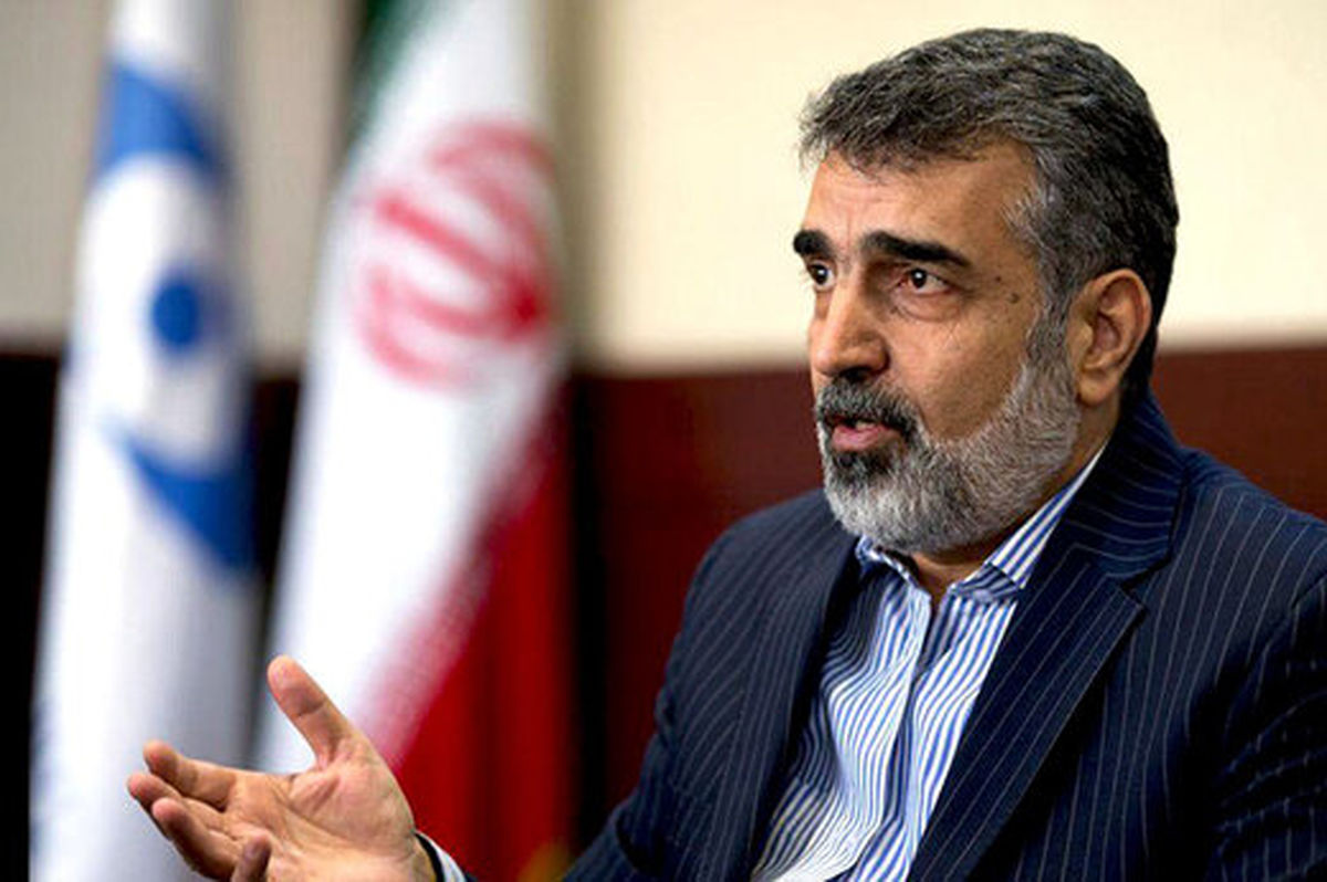 در یک سال گذشته ۳ بار در سایت های هسته‌ای خرابکاری شد / سایت کرج در کنترل نهاد امنیتی است؛ امکان نصب دوربین آژانس وجود ندارد