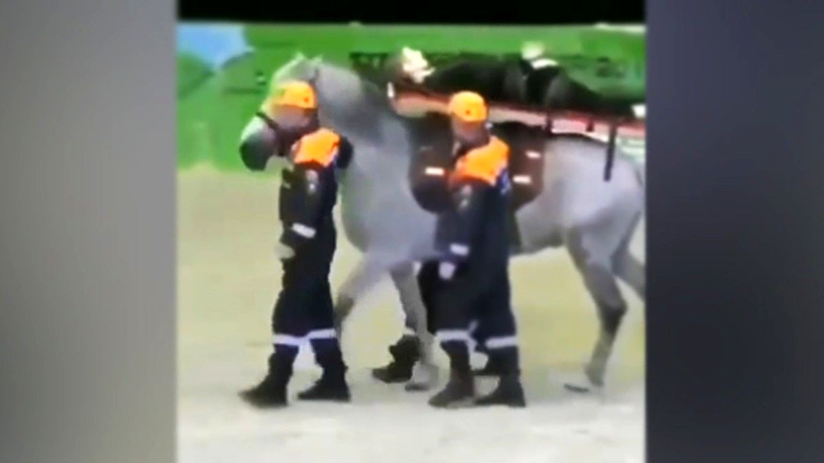 امدادرسانی خنده دار و جالب در یک مانور/ ویدئو