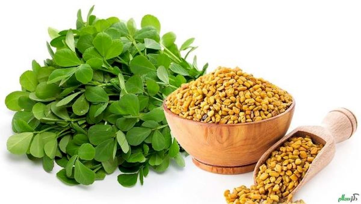 نسخه‌های گیاهی موثر برای تقویت مو