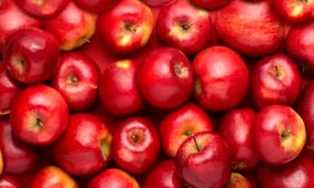 ترکیب گیاهی ساده برای «درمان کم‌خونی» + دستور تهیه