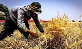 ۳۰۰ میلیارد ریال بودجه به طرح‌های اشتغال روستایی در نیر اختصاص یافت
