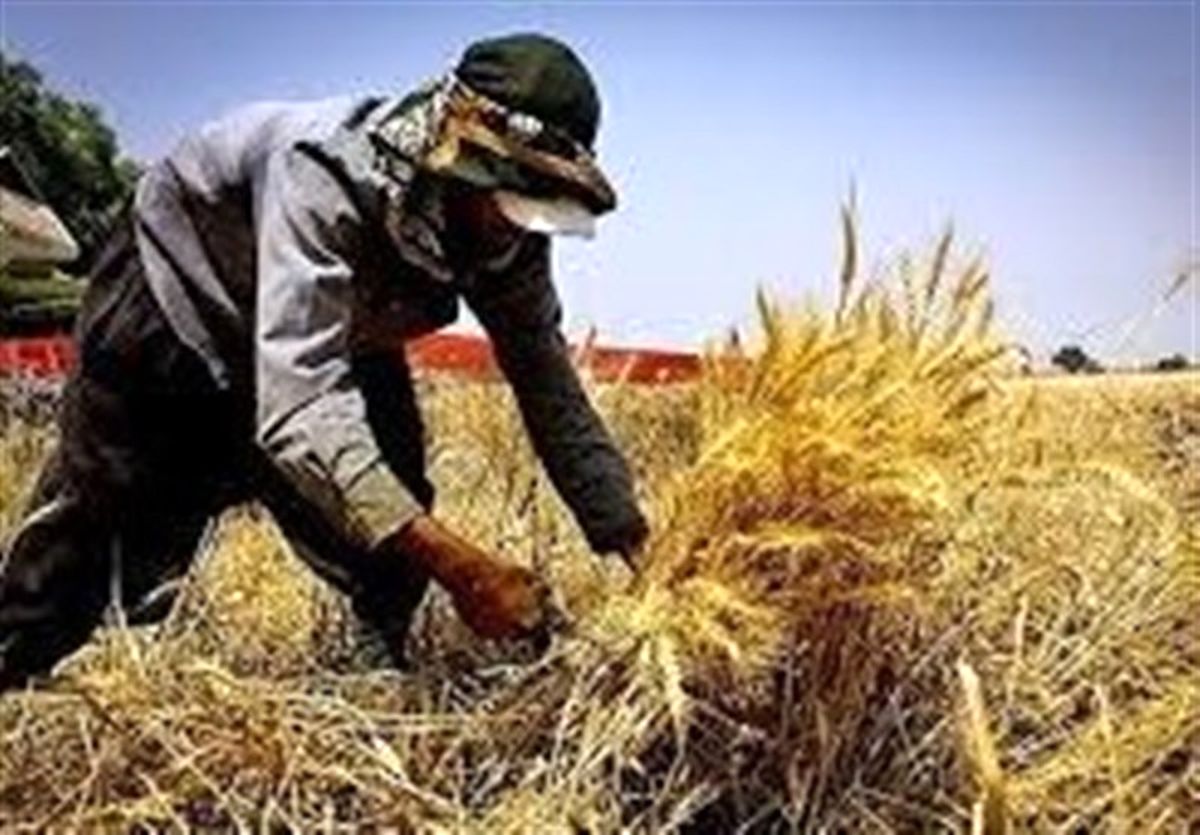 ۳۰۰ میلیارد ریال بودجه به طرح‌های اشتغال روستایی در نیر اختصاص یافت
