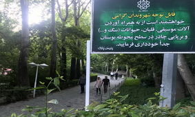 پیگیری یک «توهین بزرگ» به موسیقی