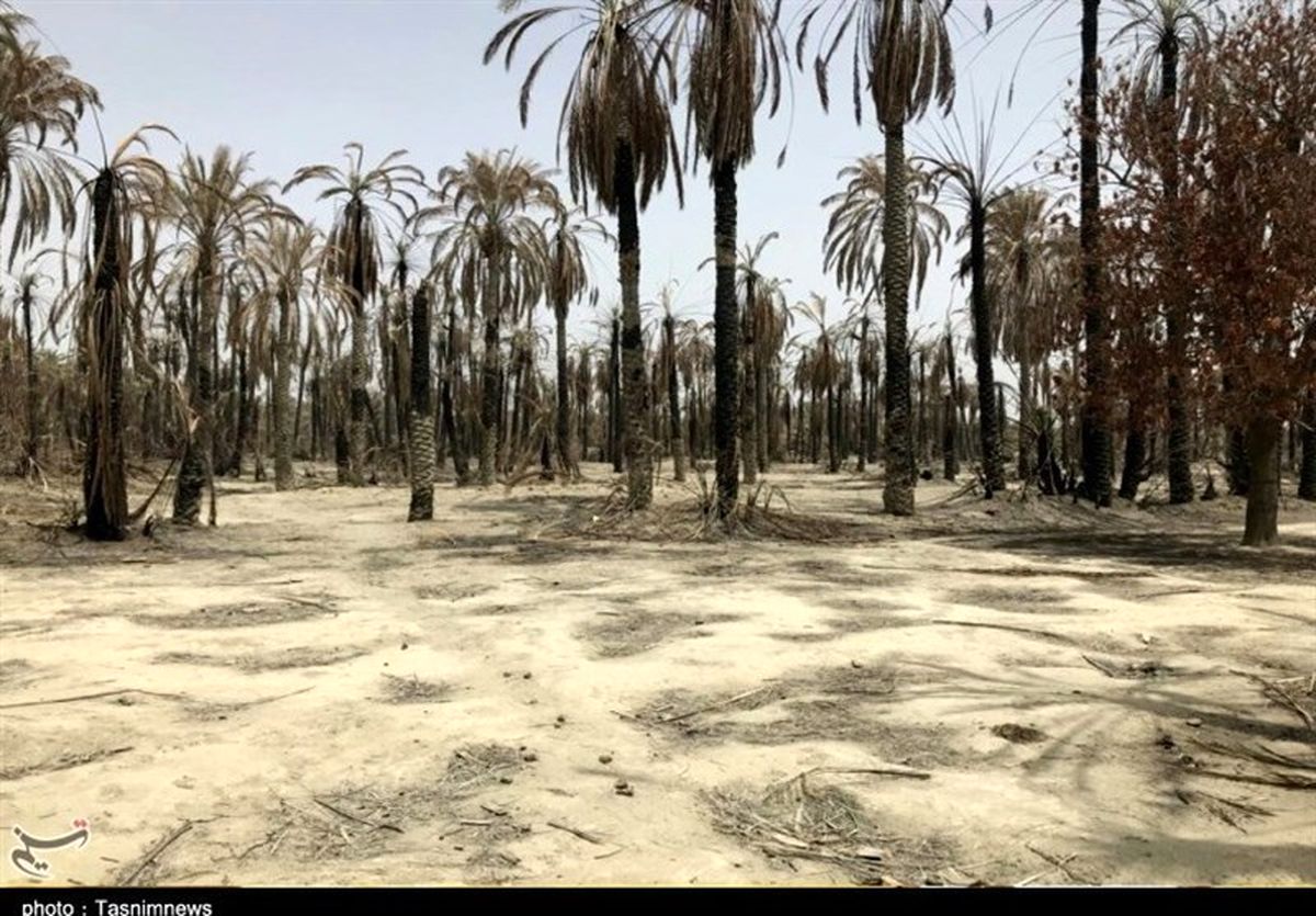 آتش‌سوزی شهر شهداد مهار شد