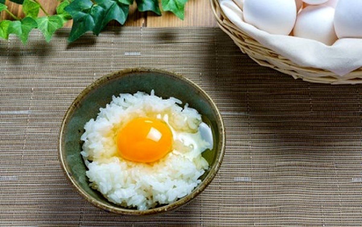 حکم خوردن تخم مرغ خام چیست؟