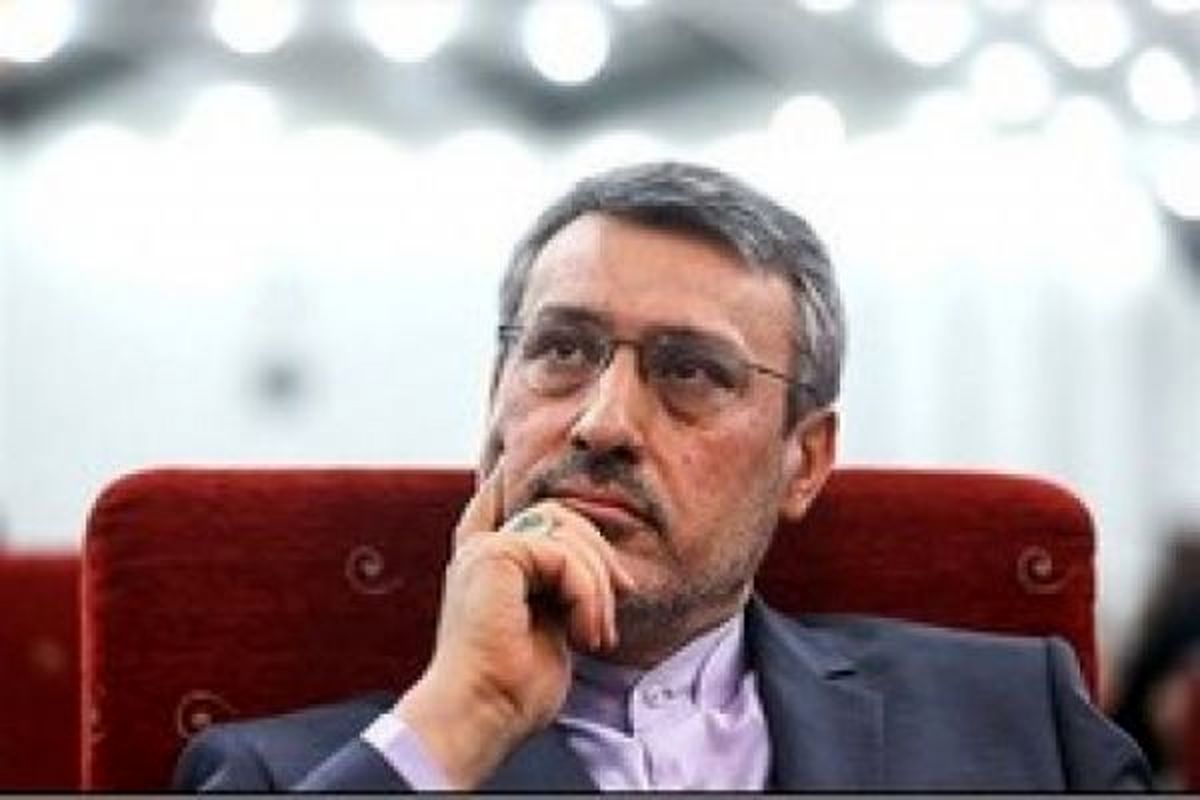 روایت بعیدی‌نژاد از گربه‌های دیپلمات در انگلستان