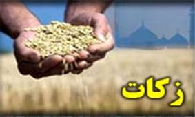 کاهش پرداخت زکات در شهررضا/تلاش برای ترویج و احیای سنت حسنه زکات
