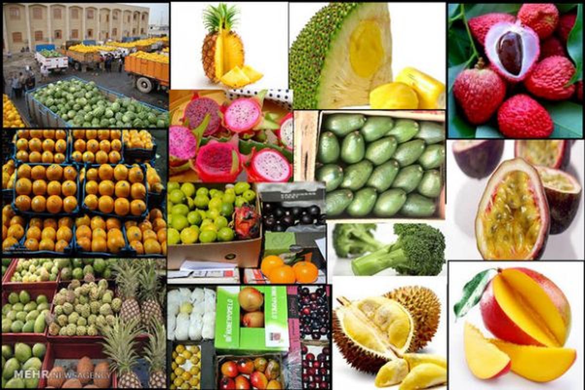 تجملاتی‌ترین و عجیب‌ترین میوه‌های دنیا کدامند؟ +تصاویر