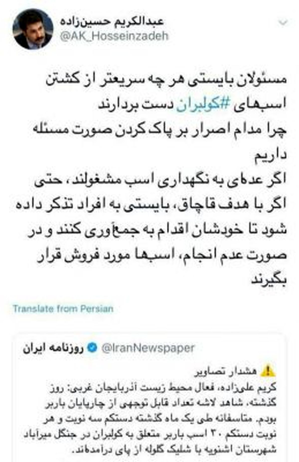 یک نماینده مجلس خواستار پایان کشتار اسب‌ کولبران شد