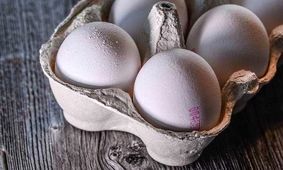 خواص تخم مرغ + نحوه نگهداری
