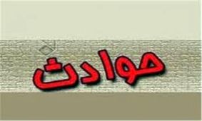 خطرناک ترین زن بیوه دستگیر شد