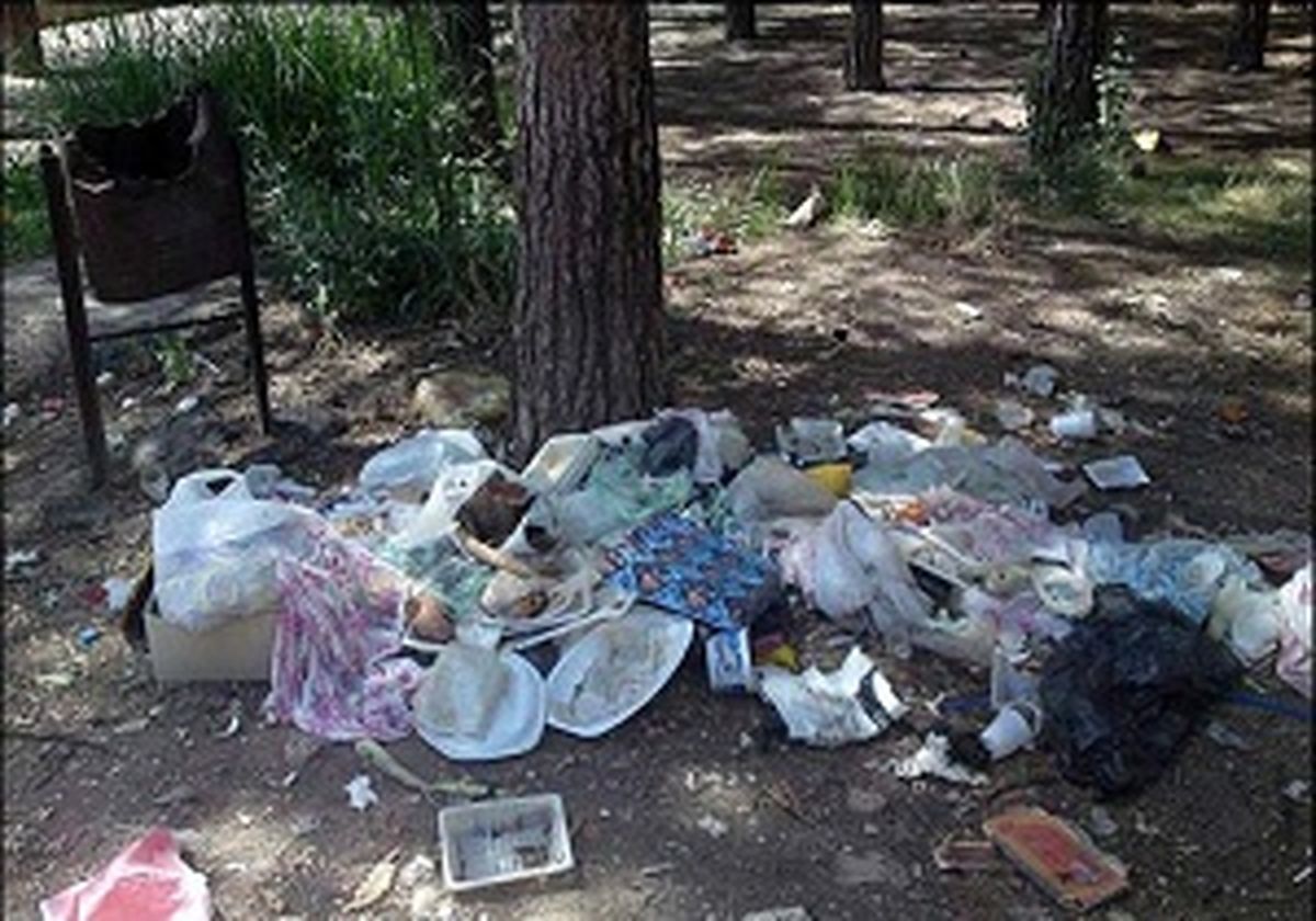 ایران جزء ۱۰ کشور نخست مصرف کننده ظروف یکبار مصرف/ هر تهرانی روزانه 3 کیسه پلاستیکی مصرف می‌کند