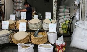 قیمت برنج؛ جهش ۲۴۰ درصدی از شالیزار تا فروشگاه