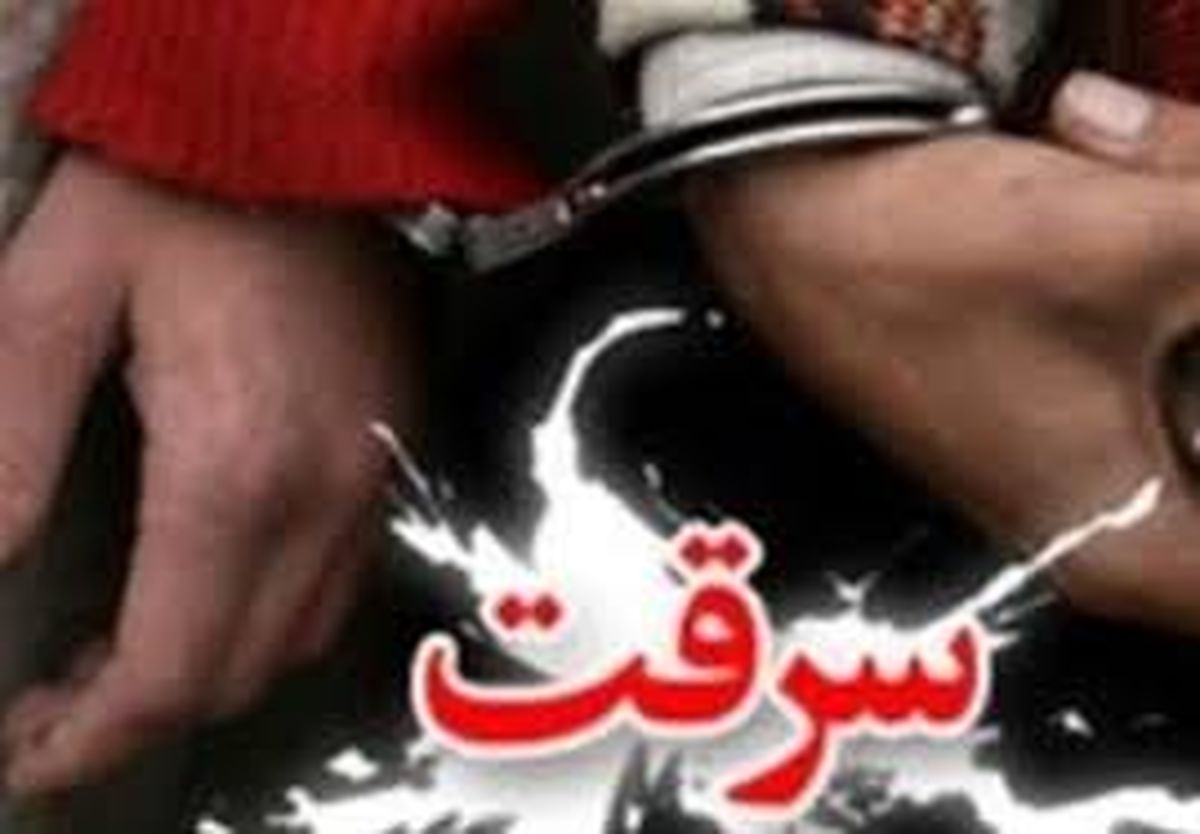 سرقت های میلیونی به امامزاده ها هم رسید