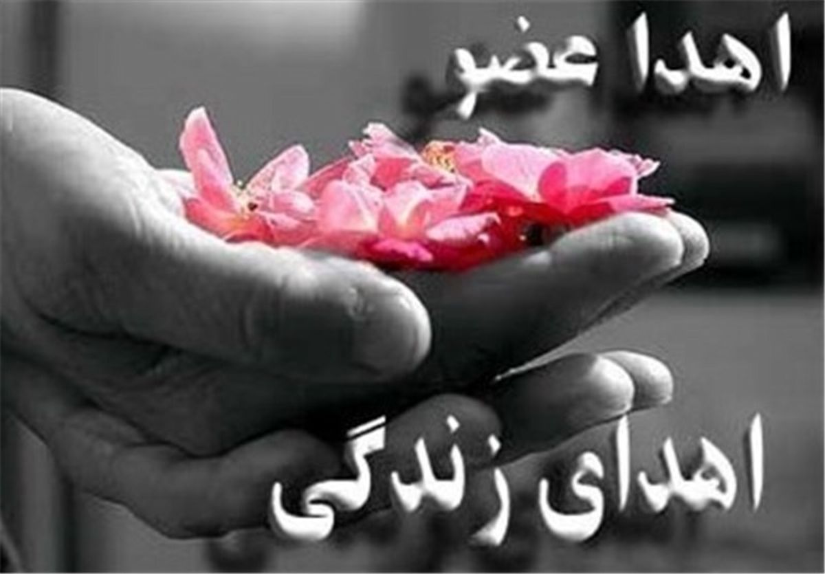 بانوی زاهدانی به چهار بیمار زندگی دوباره بخشید
