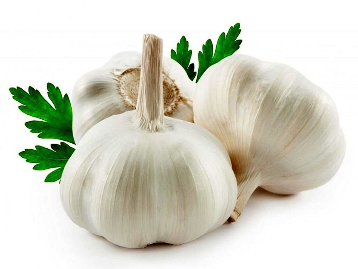 با خواص اعجاب‌انگیز سیر برای سلامتی بدن آشنا شوید