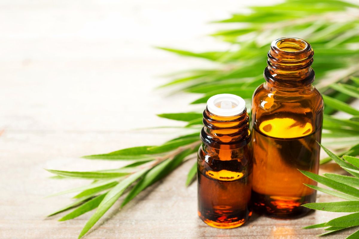 روغن درخت چای چیست و چه کاربردی دارد؟